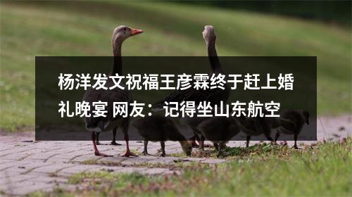 杨洋发文祝福王彦霖终于赶上婚礼晚宴 网友：记得坐山东航空
